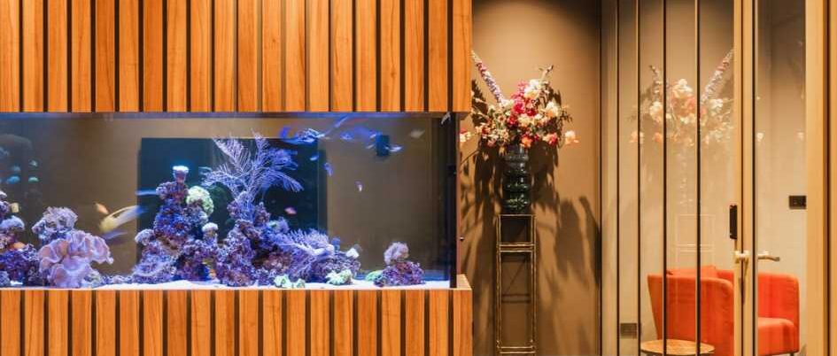 aquarium op kantoor